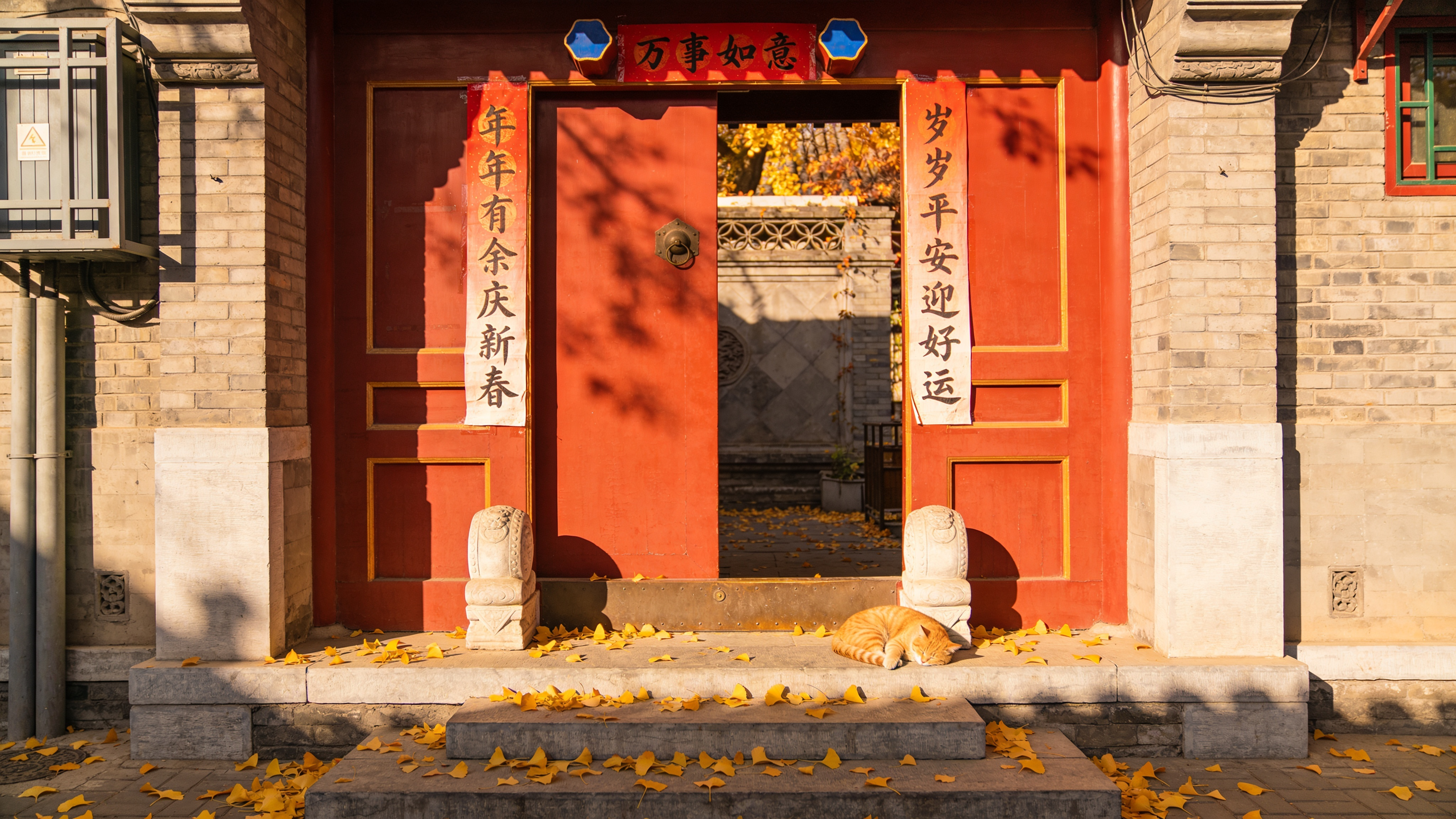 Hutong courtyard in Beijing's Dongcheng, late autumn. Red wooden door with two vertical paper couplets pasted on either frame — left reads exactly "年年有余庆新春", right reads exactly "岁岁平安迎好运"; horizontal top band reads exactly "万事如意". Yellow ginkgo leaves scattered on grey stone step, a cat sleeping in warm raking sun. Mamiya 7 medium-format look, Kodak Ektar 100 palette. Chinese rendered verbatim as given, no auto-translation.
